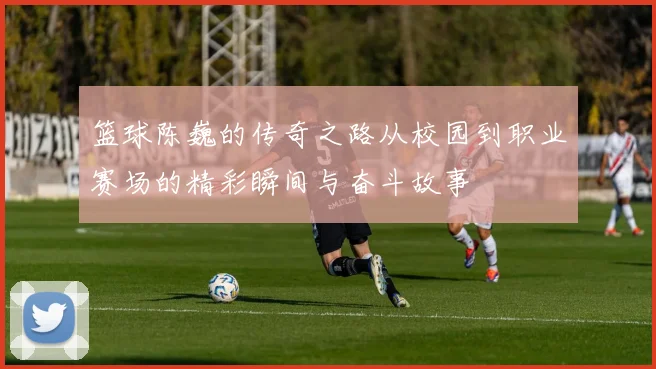 篮球陈巍的传奇之路从校园到职业赛场的精彩瞬间与奋斗故事