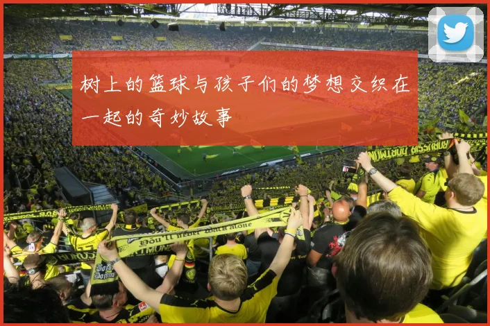 树上的篮球与孩子们的梦想交织在一起的奇妙故事