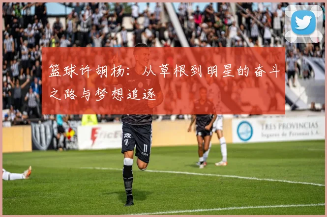 篮球许胡杨：从草根到明星的奋斗之路与梦想追逐