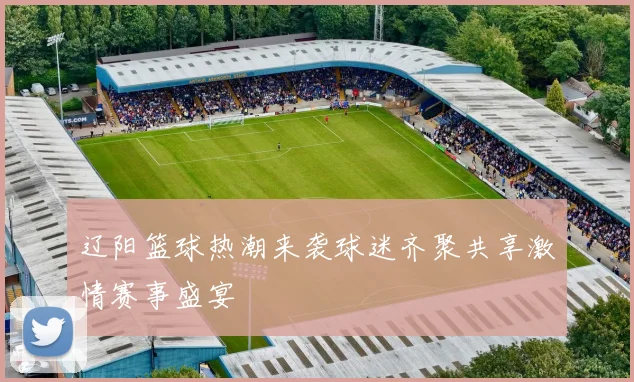 辽阳篮球热潮来袭球迷齐聚共享激情赛事盛宴